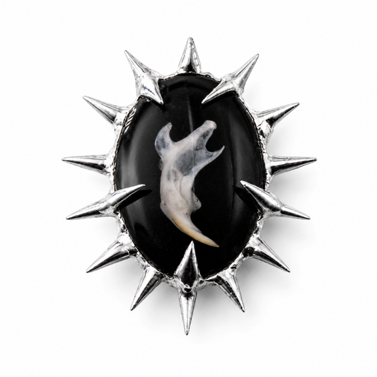 Amulet_06