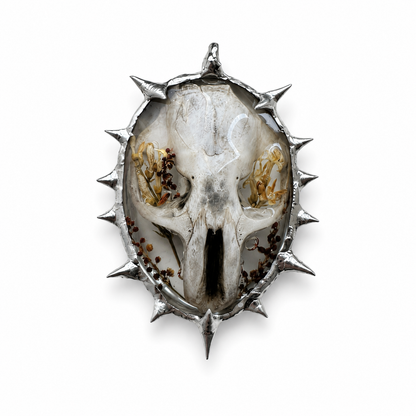 Amulet_79