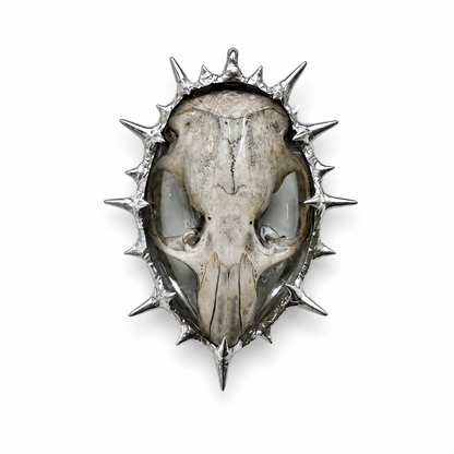 Amulet_82