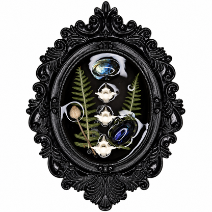 Preserved Beetle, Botanicals, Labradorite & Snake vertebrae