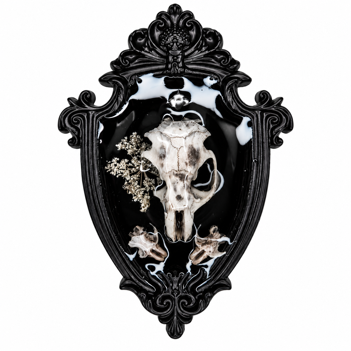 Preserved Flower, Rat and Vole Skulls & Snake vertebra